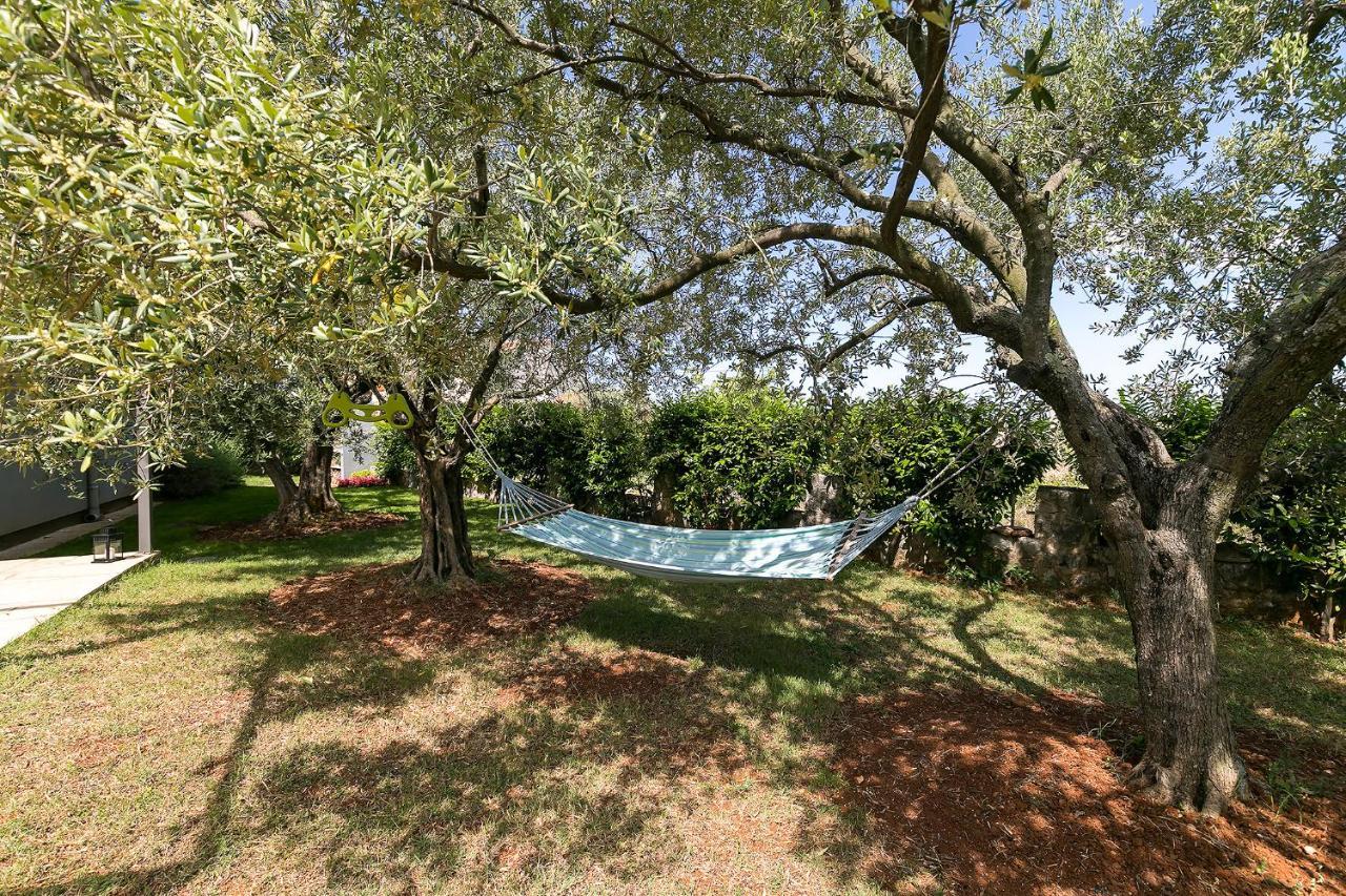 פורץ Apartments Dama מראה חיצוני תמונה